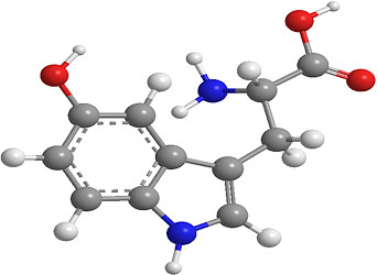 5 Htp For Weight Loss