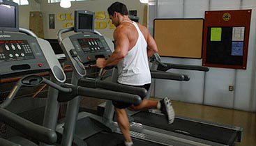 Best cardio for discount bulking