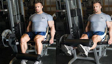 Leg Extensions Good Or Bad Safe For Your Knees