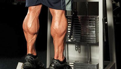 Lean discount calves workout