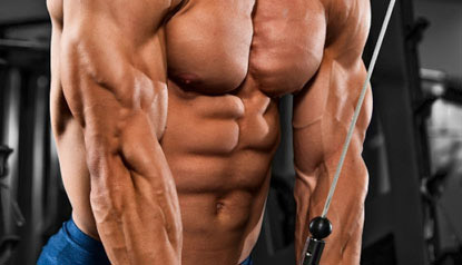 Dedicated Routine for Massive Bis and Tris - Muscle & Fitness