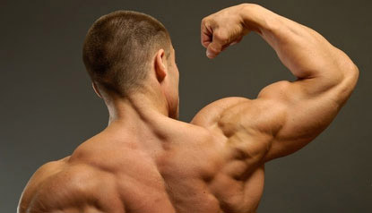 The Best Shoulder Exercises to Build Massive Shoulders