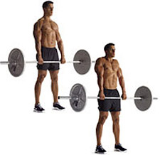 barbell shrugs