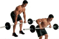 bent over barbell row