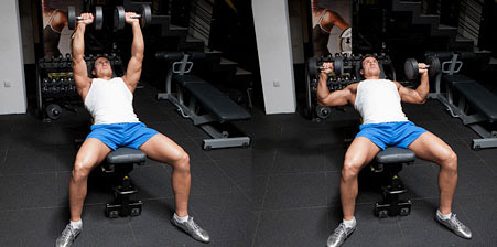 Chest workout perfect Perfect Chest