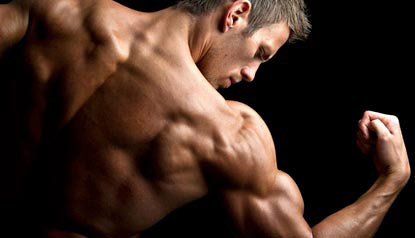 build back muscles