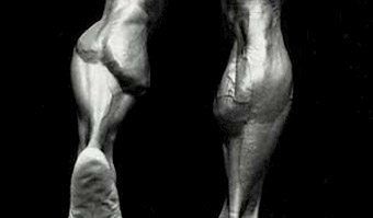 build calf muscle