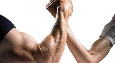 The Best Forearm Exercises And Workouts For Mass