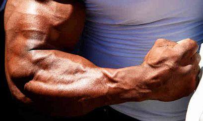 muscular forearms workout