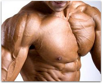 The Best Chest Exercises For Build Massive Muscle Mass — The Best