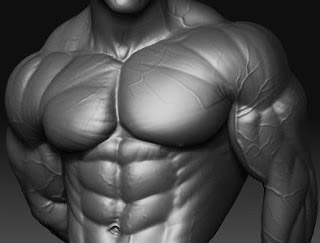 How To Build a Big Chest — The Complete Guide