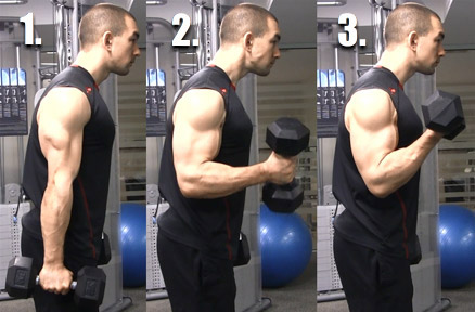 Bicep Curls — (DUMBBELL FORM & TECHNIQUE) 