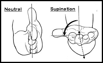 forearm supination