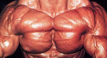 Build Your Upper-Inner Pecs - Muscle & Fitness