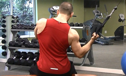 Lat pull online workout