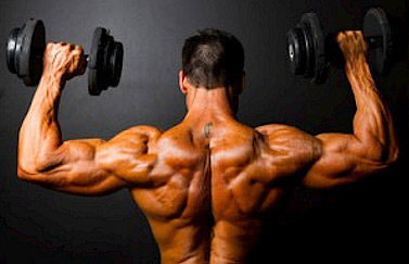 Bodybuilder's bis and tris superset circuit