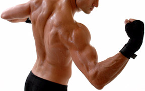 Total gym best sale muscle building routine