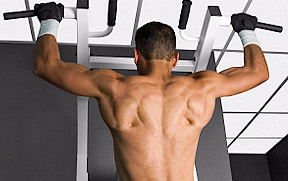 5 Killer Back and Bicep Workouts For Building Muscle - Onnit Academy