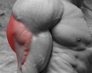 How To Build Big Arms (The Simple Truth!)