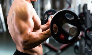 article home bicep curl