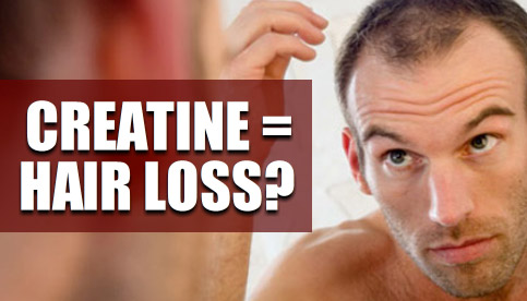 creatine hair loss reversible reddit