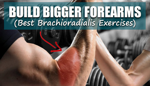 Brachialis discount home workout