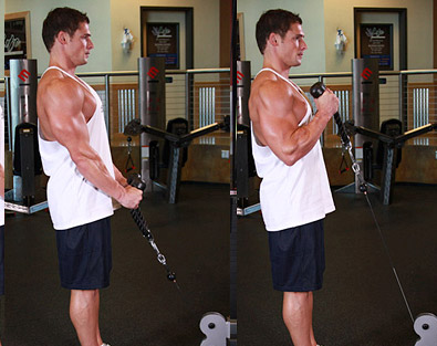 The Best Brachioradialis Exercises For Bigger Forearms