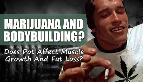 marijuana and bodybuilding