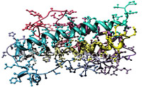 marijuana growth hormone