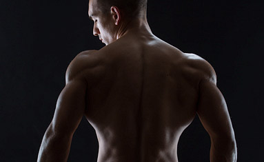 back muscles