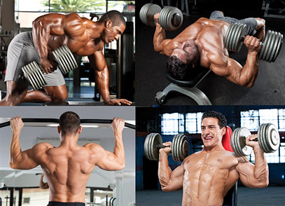 Build big arms workout