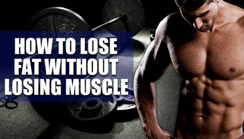 lose fat without losing muscle