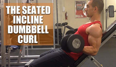 seated incline dumbbell curl