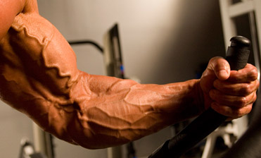 vascular arms