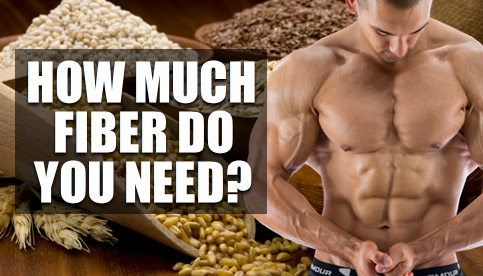 bodybuilding fiber intake