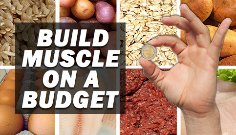 bodybuilding on a budget