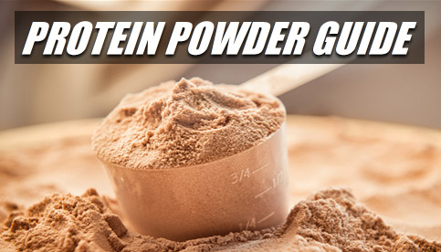 how to use protein powder