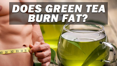 does green tea burn fat