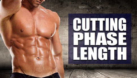 how long should bulking and cutting phases be