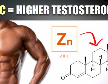 zinc and testosterone