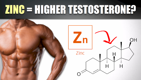 zinc and testosterone