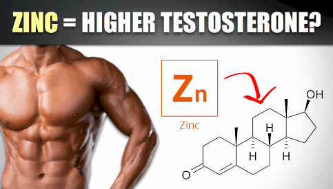 Zinc For Bodybuilding Explained