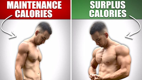 Dirty Bulk vs Clean Bulk Meaning, Foods, Results, & More