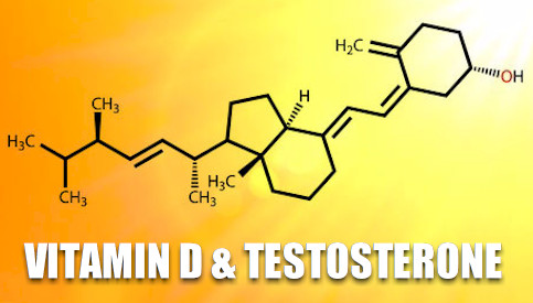 Will Taking Vitamin D Increase Testosterone Levels?