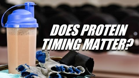 
                  DOES PROTEIN TIMING MATTER FOR BUILDING MUSCLE?