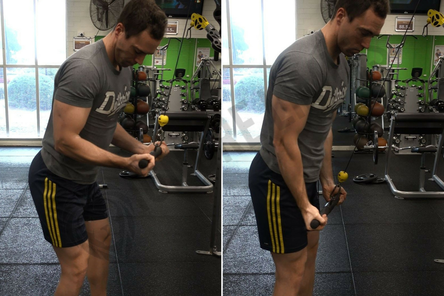 Cable Rope Tricep Extension